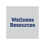 im-rec sports other wellness resources